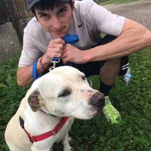 Meet your Posher, Ally